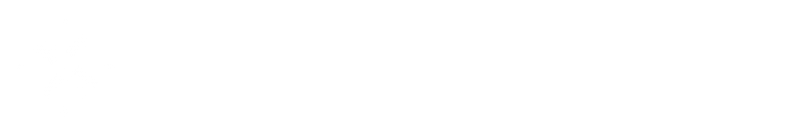 广西数字政务一体化平台